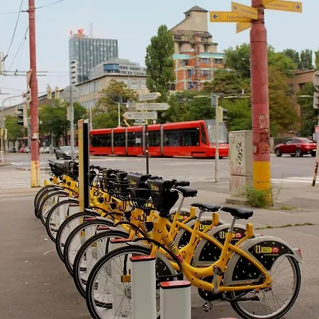 House Of Beer - Stein Apartamento