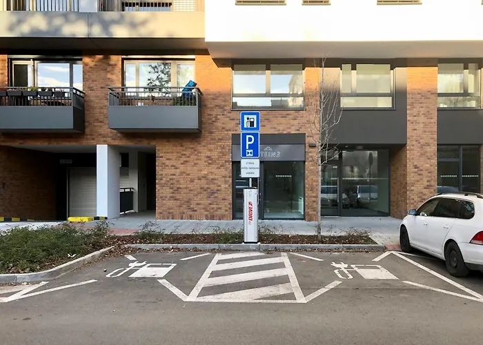 House Of Beer - Stein