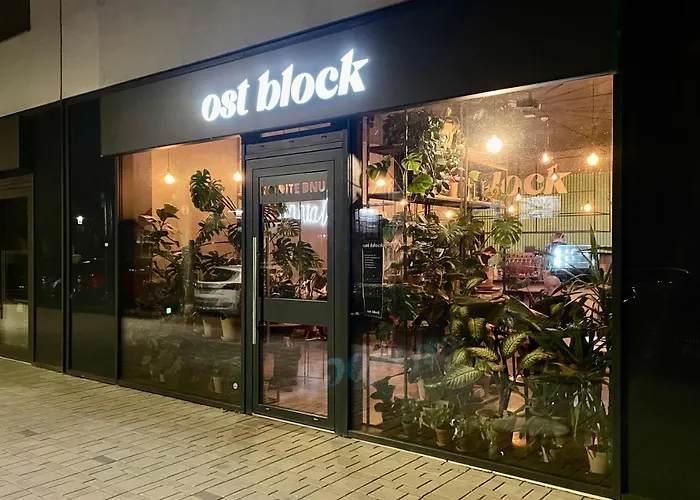 House Of Beer - Stein