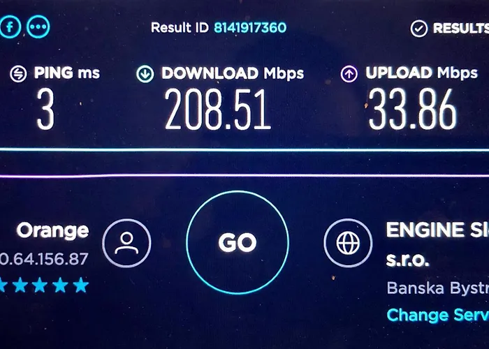 House Of Beer - Stein