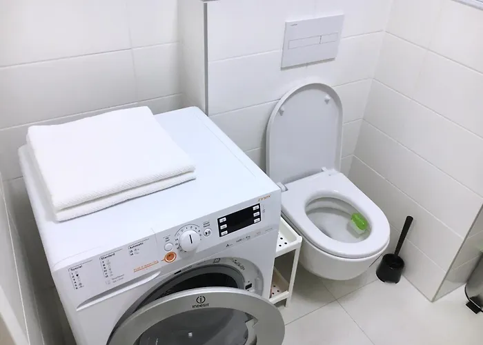 House Of Beer - Stein