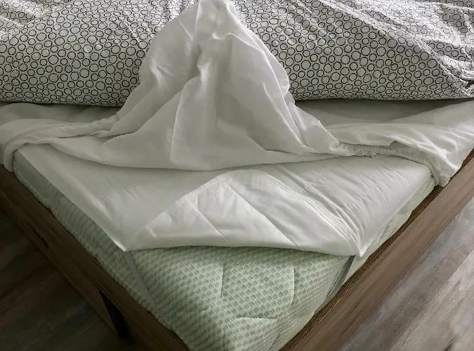 Apartament House Of Beer - Stein *