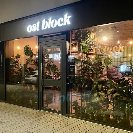 House Of Beer - Stein