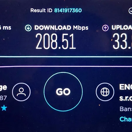 House Of Beer - Stein